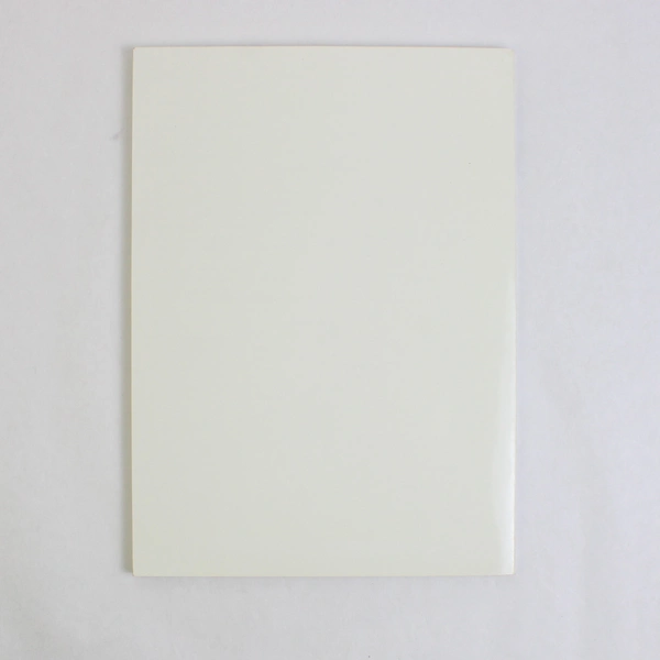 Computer Friendly! By Raymond Steinbacher 2003 Paperback Computer Course