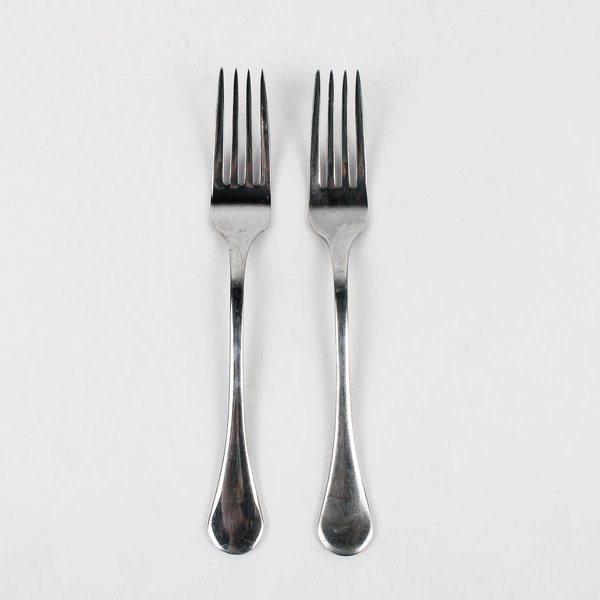 Set of 2 Isaac Mizrahi Stainless Steel Dinner Forks
