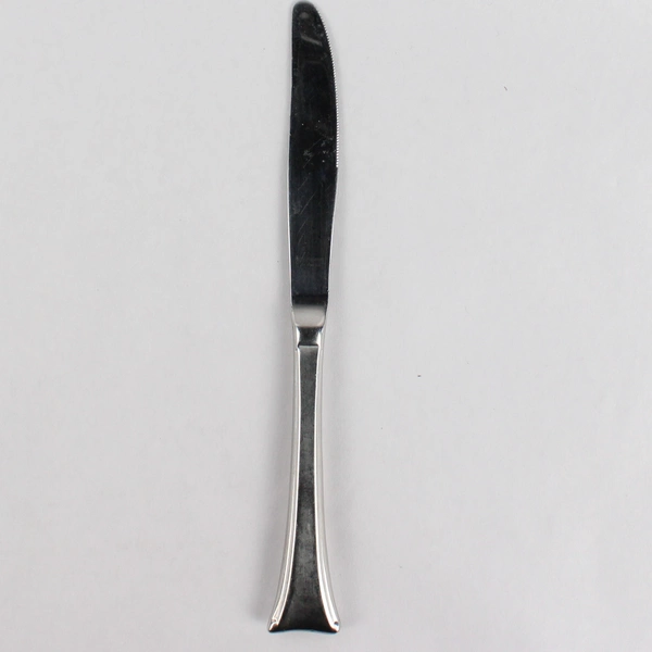 Gorham Theme II 18/8 Stainless Steel Dinner 9" Knife