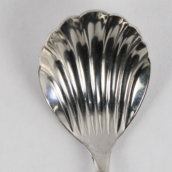 Gorham Meredith II Stainless Steel Shell 6" Sugar Spoon