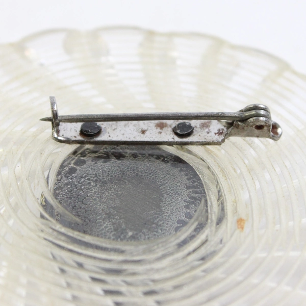 Vintage Clear and Black Lucite Cameo Brooch 2.5"