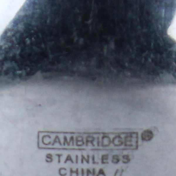 Lot of 4 Cambridge Landscape Stainless 8" Soup Spoons