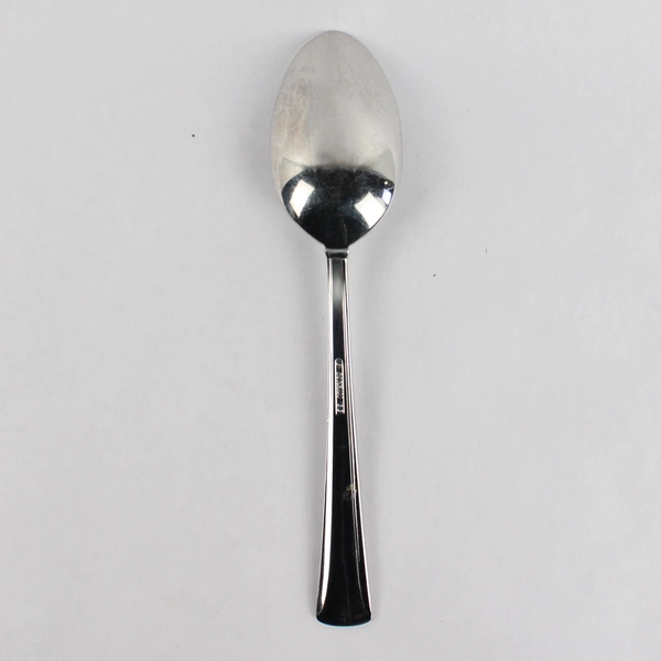 Gorham Nordic 18/8 Stainless Steel 8.5" Serving Spoon