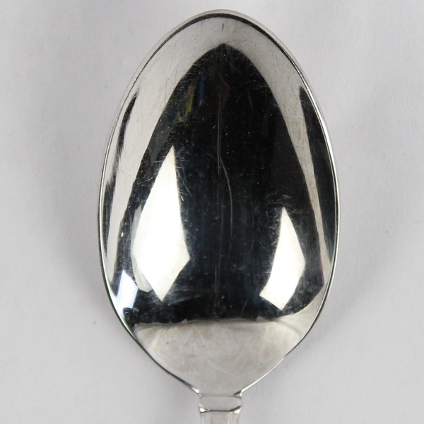 Gorham Nordic 18/8 Stainless Steel 8.5" Serving Spoon