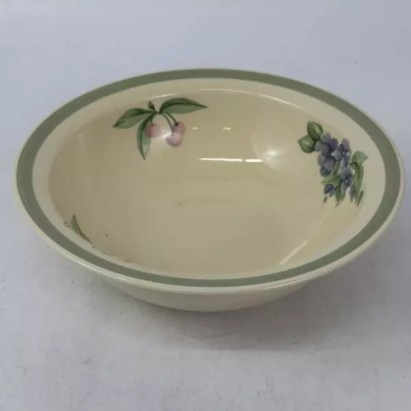  Pfaltzgraff Garden Party Vegetable Bowl 9.25 inch