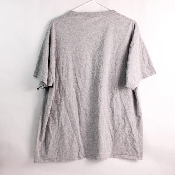 Disney Family Vacation Gray Graphic T-Shirt Women's Size XL 18