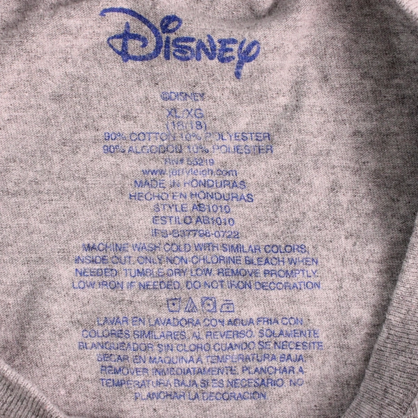 Disney Family Vacation Gray Graphic T-Shirt Women's Size XL 18