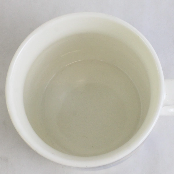 Tongass Trading Co. Alaska's Inside Passage The Last Frontier Ceramic Mug 4"