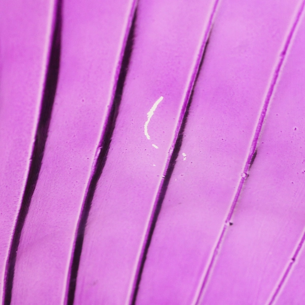 1-800-Flowers.com Solid Purple Color Vase 7.75" Tall 5.5" Diameter