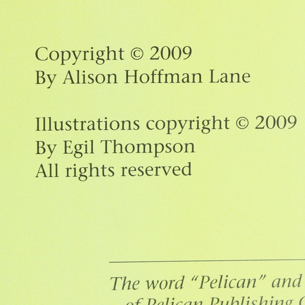 Uncle Arnel and the Swamp Witch by Alison Hoffman Lane 2009 HC DJ Young Readers