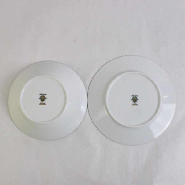 2 Pc Set Vintage Noritake Reina 6450Q Soup Bowl and Salad Plate