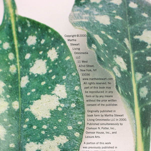 Vintage Gardening 101 The Best of Martha Stewart Living 2000 Hardcover