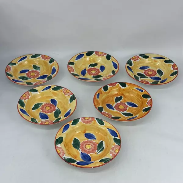 6 Pier 1 Hand-Painted Ceramic Wide Rim Soup Bowls Made In Italy Floral Pattern