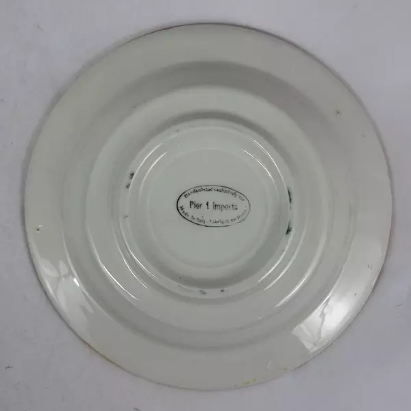 6 Pier 1 Hand-Painted Ceramic Wide Rim Soup Bowls Made In Italy Floral Pattern