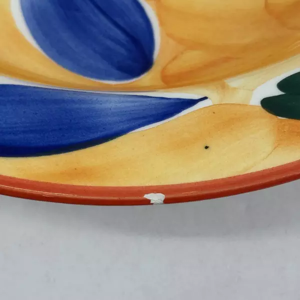 6 Pier 1 Hand-Painted Ceramic Wide Rim Soup Bowls Made In Italy Floral Pattern