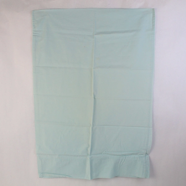 Set of 2 Target Home Powder Blue Standard Cotton Pillowcases 19.5" x 28.5"