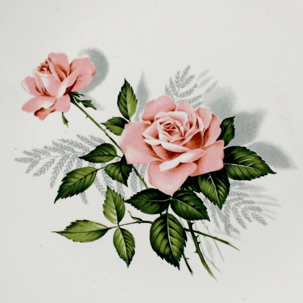 Set of 4 Taylor Smith Taylor Summer Rose Platinum Bread Plates 6.5 Inch