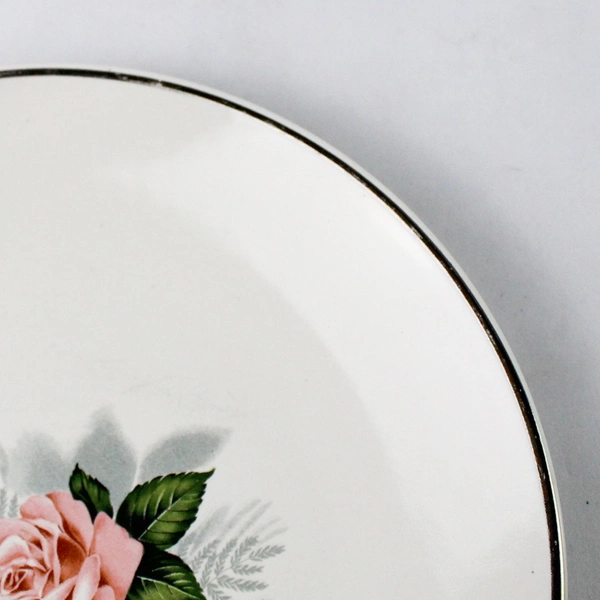 Set of 4 Taylor Smith Taylor Summer Rose Platinum Bread Plates 6.5 Inch