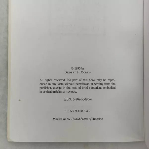 Winged Raiders of the Desert by Gilbert Morris 1995 Trade Paperback