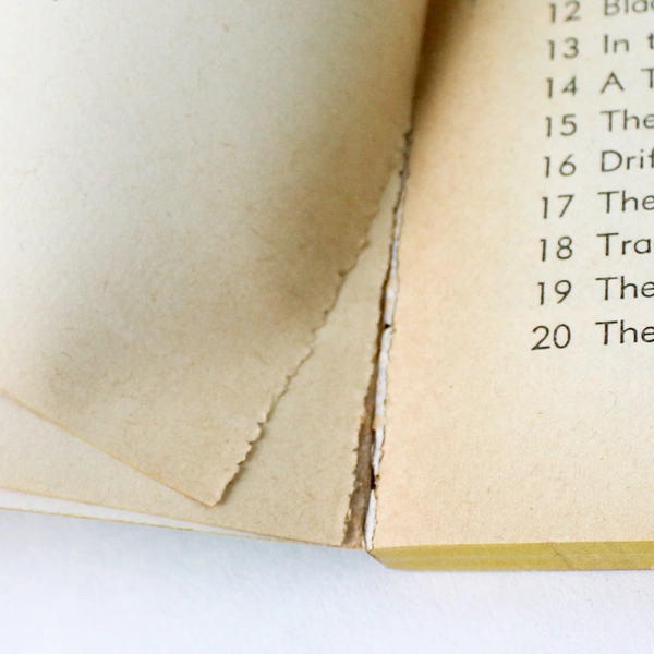 Vintage Jim Davis Smuggler's Captive by John Masefield TAB Books Paperback