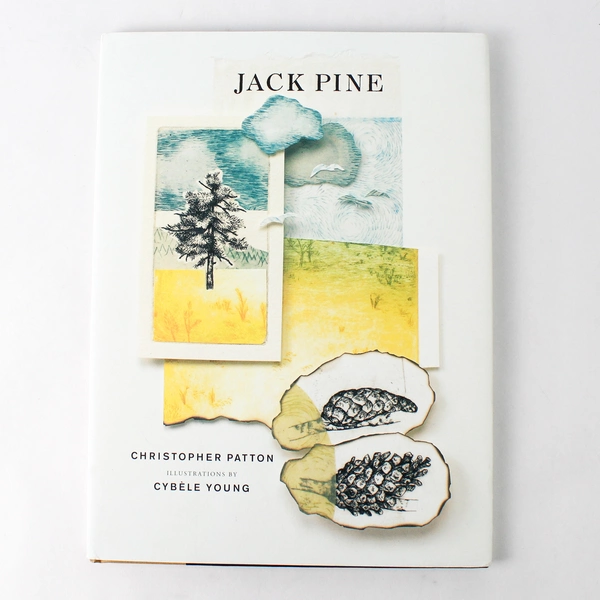 Jack Pine by Christopher Patton 2007 Groundwood Hardcover Dust Jacket
