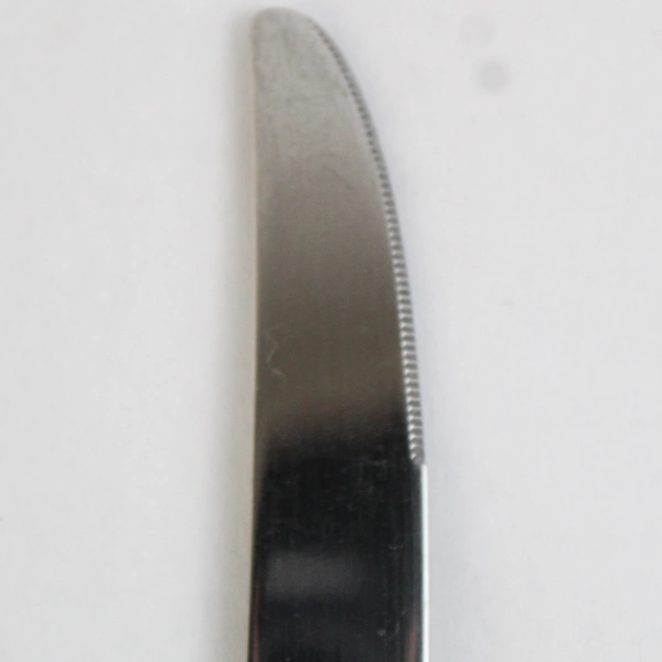 Set of 6 Oneida Silver Ledges Stainless Steel Dinner Knives