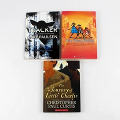 Lot Of 3 Scholastic Novels For Young Readers 1984 - 2018