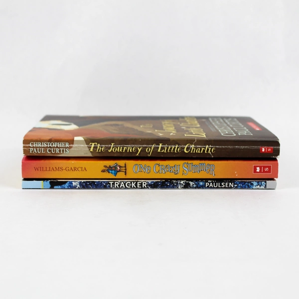 Lot Of 3 Scholastic Novels For Young Readers 1984 - 2018