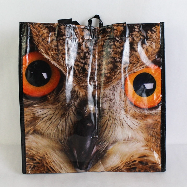 Earthwise Owl PVC Reusable Tote Bag 13"x14"x 8"