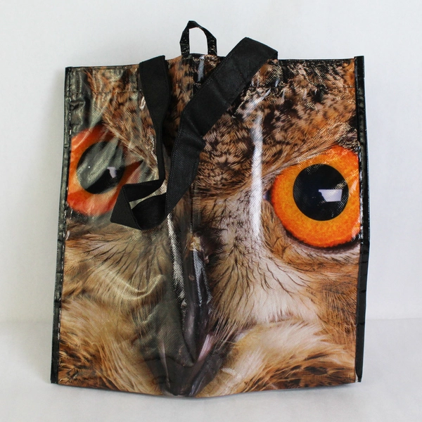 Earthwise Owl PVC Reusable Tote Bag 13"x14"x 8"