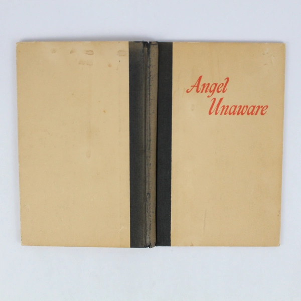 Lot of 4 Christian Religious Books: Angel Unaware In Search Of Noah's Ark