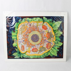 Ode To The Eukaryote by Shoshanah Dubiner Giclée Print On Archival Paper 2007