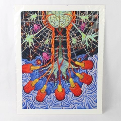 Silk Neural Network by Shoshanah Dubiner Giclée Print On Archival Paper 2008