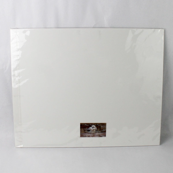 Sanderling Fly By Signed Photograph Print by Tim Moore Wildlife Image