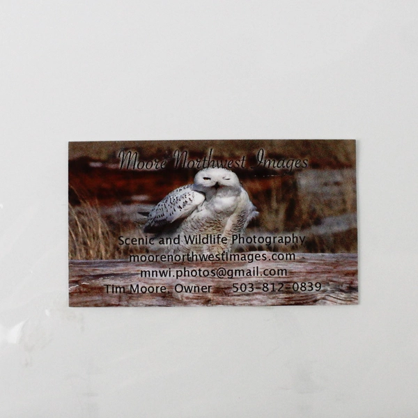 Sanderling Fly By Signed Photograph Print by Tim Moore Wildlife Image