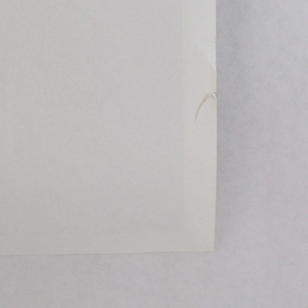 Shepard Fairey We The Indivisible 24x36 Offset Lithograph Art Print