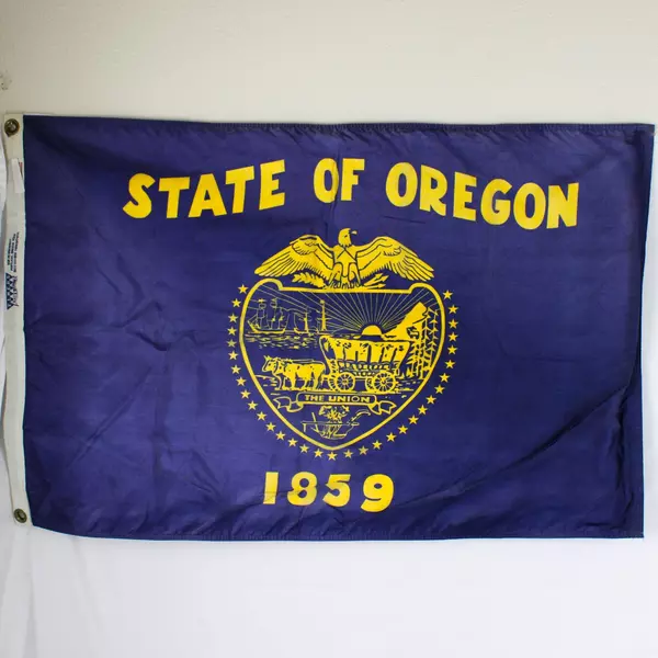 Lot of 2 Used Oregon 2x3 & USA 3x5 Nylon Flags Elmer's Good Condition