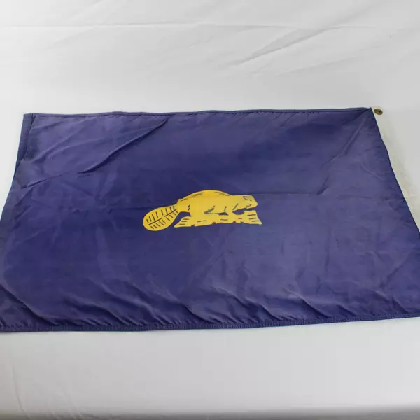 Lot of 2 Used Oregon 2x3 & USA 3x5 Nylon Flags Elmer's Good Condition