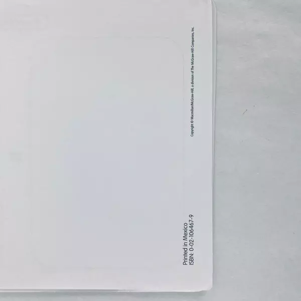 Lot of 2 MacMillan McGraw-Hill Grade 3 Math WorkMats Learning Tools