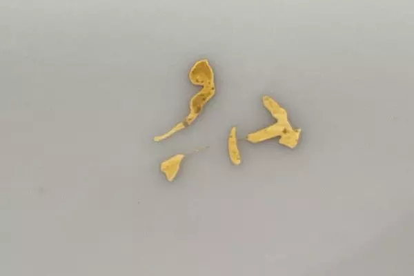 Vintage Victorian Porcelain Plate Romantic Couple Sheep Grapes Gold Edge 9.5"