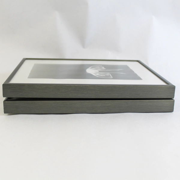 Set of 2 Framed Black White Luna Moth Prints 8x10 Inch Wall Decor