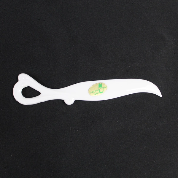 Set of 2 Maryland China Hand Painted Cheese Knives Floral Japan 1998