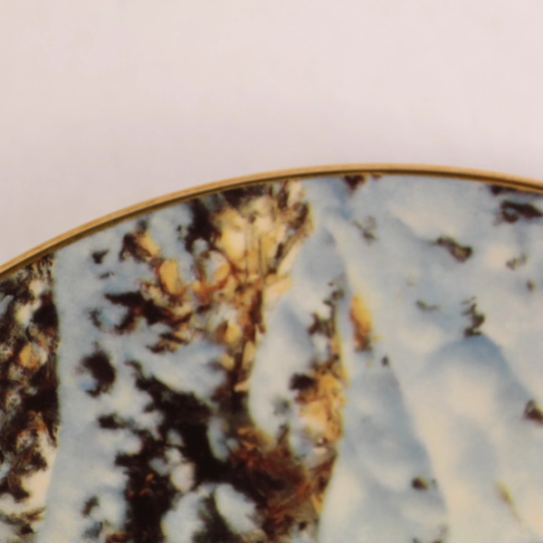 Siberian Snow Tigers Collector Plate 1993 Donald Grant Bradford Exchange COA