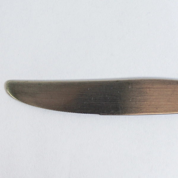 Lot of 3 Oneida Lorilei Stainless Steel 9" Dinner Knives Floral Design Pre-Owned