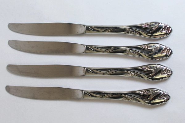 Lot of 4 Oneida Lorilei Stainless Steel 9" Dinner Knives Floral Design Pre-Owned