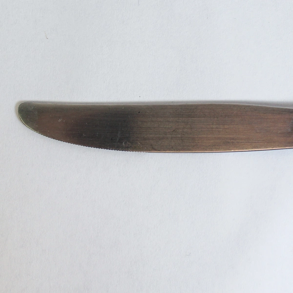 Lot of 4 Oneida Lorilei Stainless Steel 9" Dinner Knives Floral Design Pre-Owned