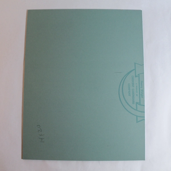 Vintage Matted Photograph Birds in Tree Pink Sky Nature Art 14"x11"