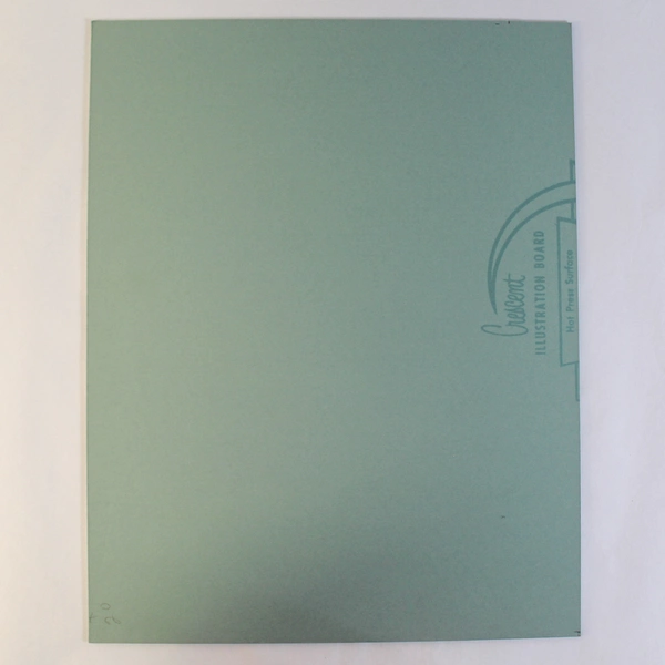 Vintage Matted Original Photograph Birds in Tree Purple Sky 14"x11" Collectible