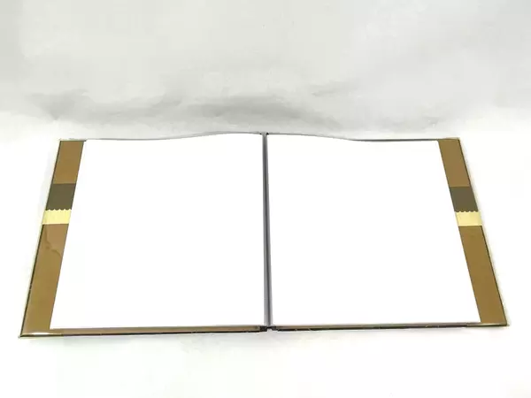 2007 Heidi Grace Our Family Photo Album 12x12 Black Vine Design with Protectors