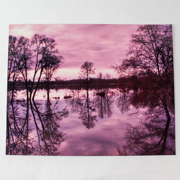 Lot of 3 Original 11x14 Nature Photographs Landscapes Trees Pond Autumn Colors